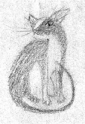 Cat: Seated Sketch