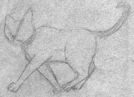 Cat: Walking Sketch