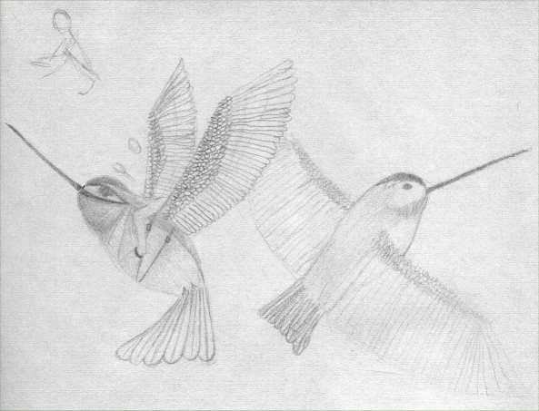 Hummingbirds