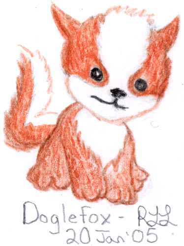 Doglefox (tm NeoPets.com) drawing, based on "How to Draw Neopets" instructions on Neopets.com website - (pencil drawing coloured in coloured pencil)