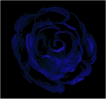 Blue Rose (dark version) III